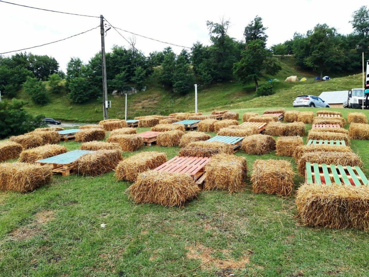 Pensiunea Colt De Rai Corbi Εξωτερικό φωτογραφία